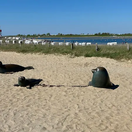 Ferienwohnung Ritthoff Perlebucht - Mit Strandkorb Am Meer Und Kostenloser Eintritt Ins Schwimmbad Büsum Esterno foto